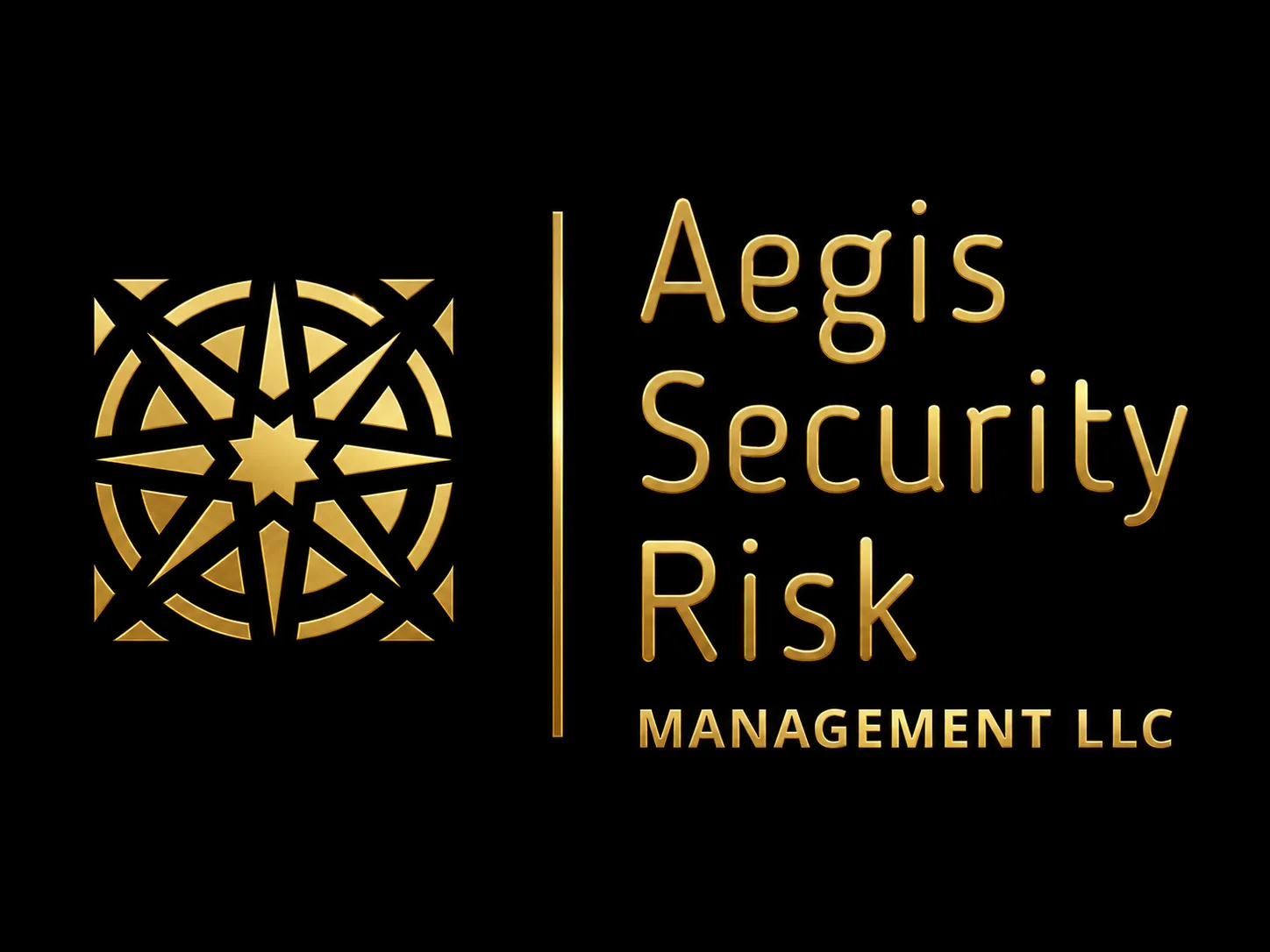 Aegis Security Risk Management LLC